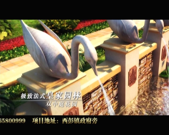 &#20122;&#26032;&#32593;&#31449;&#95;&#20122;&#26032;&#40;&#20013;&#22269;&#41;